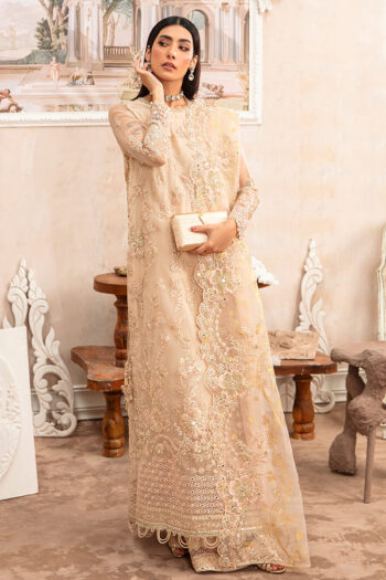 SUFFUSE TALE-3PC ORGANZA EMBROIDERED PRET